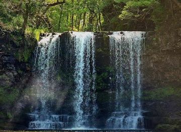united-kingdom/cardiff/attraction/sgwd-yr-eira-waterfall