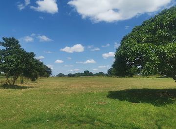 zambia/lusaka-national-park/attraction/the-garden-park