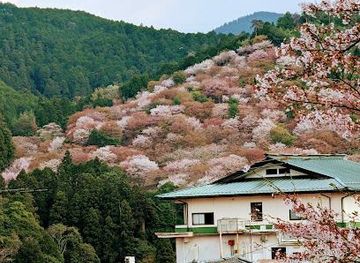 japan/nara/attraction/mount-yoshino