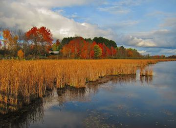 canada/ottawa/attraction/mer-bleue-bog