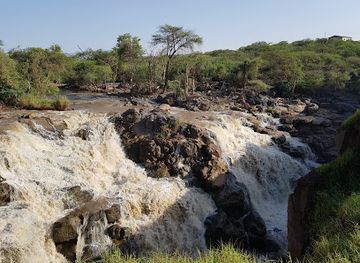 ethiopia/awash-national-park/attraction/aledeghi-wildlife-reserve
