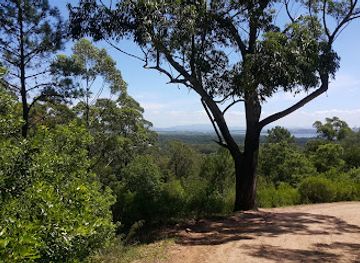 uruguay/sierra-de-minas/attraction/arboretum-lussich