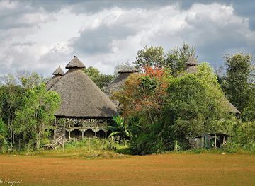 kenya/kitale/attraction/kitale-nature-conservancy