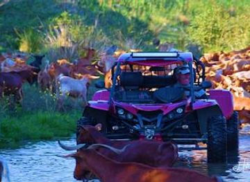 spain/malaga/attraction/buggy-tour-malaga