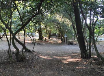 portugal/viseu/attraction/mata-do-serrado