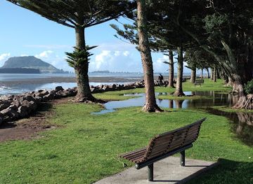 new-zealand/tauranga/attraction/fergusson-park