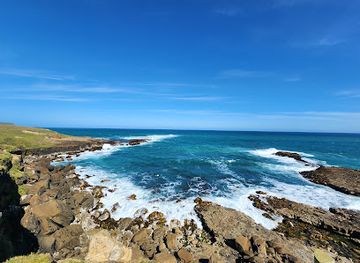 new-zealand/southland/attraction/the-southern-most-point-of-the-south-island-of-new-zealand
