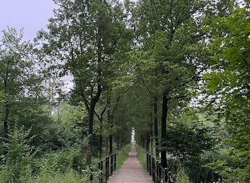 netherlands/vechtstreek/attraction/bos-over-holland