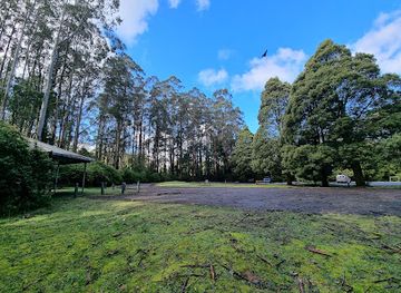 australia/yarra-valley/attraction/tarra-bulga-national-park