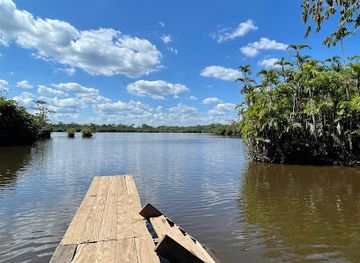 ecuador/cuyabeno-wildlife-reserve/attraction/laguna-panacocha
