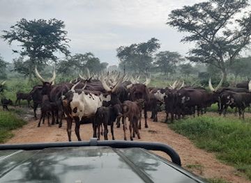 uganda/lango/attraction/ajai-wildlife-reserve