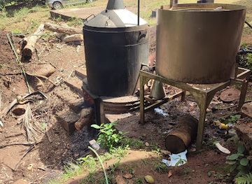 mayotte/plage-de-papani/attraction/le-jardin-d-imany