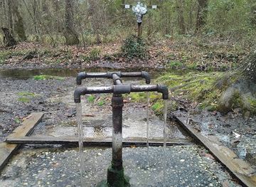 south-carolina/midlands/attraction/god-s-acre-healing-springs