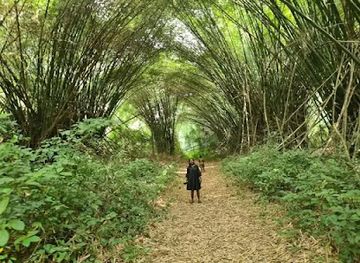 ghana/kumasi/attraction/eddyblay-ventures