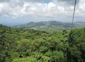 dominica/soufriere/attraction/rainforest-adventure