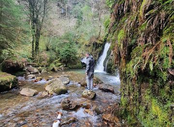 ireland/county-wicklow/attraction/coolalingo-waterfalls