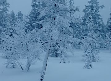sweden/jamtland/attraction/jarvdalen-nature-reserve