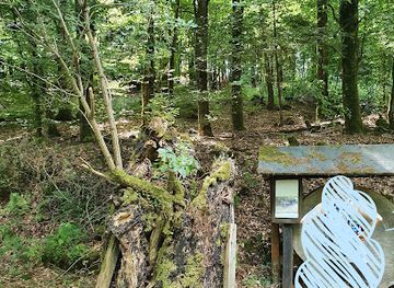 germany/monschau/attraction/alter-baumtransport-karren