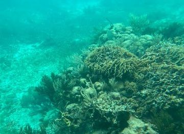 mexico/cancun/attraction/aquaworld