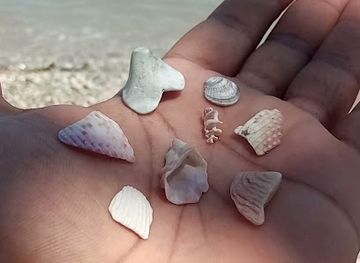 dominican-republic/barahona/attraction/playa