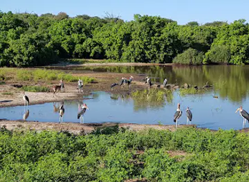Chobe National Park Stretch Point
