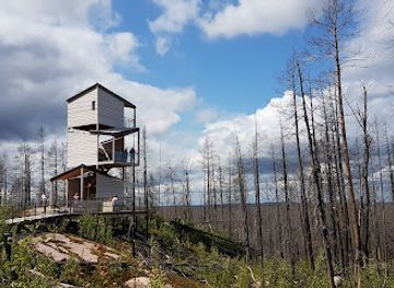 sweden/vastmanland/attraction/halleskogsbrannans-naturreservat