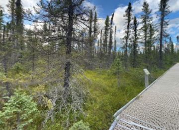 minnesota/big-woods/attraction/big-bog-state-recreation-area-boardwalk