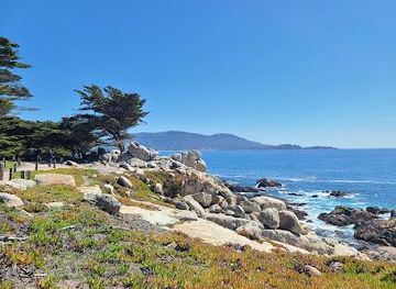 california/big-sur/attraction/pescadero-point