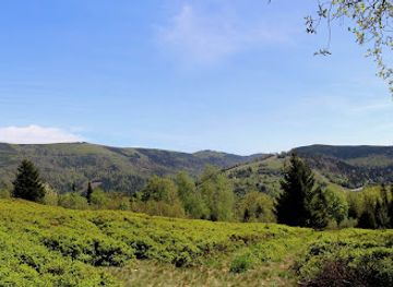 poland/silesian-beskids/attraction/malinow