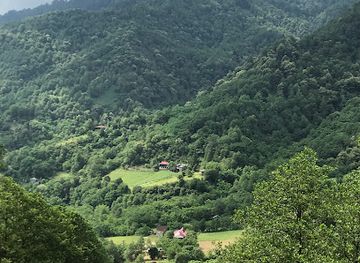 georgia/racha-lechkhumi-and-kvemo-svaneti/attraction/mtirala-park-lake