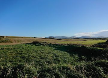 isle-of-man/snaefell/attraction/mwt-cronk-y-bing-nature-reserve