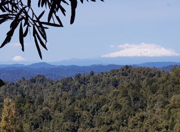 new-zealand/taranaki/attraction/matemateaonga-track