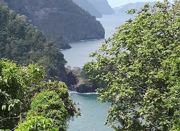 trinidad-and-tobago/aripo-caves/attraction/bamboo-cathedral
