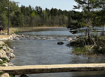 minnesota/mississippi-river/attraction/mississippi-headwaters-state-forest