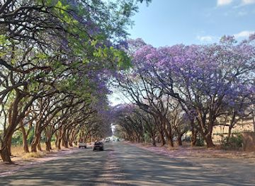 zimbabwe/harare/attraction/milton-street