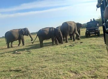 sri-lanka/polonnaruwa/attraction/wijerathna-jeep-safari-habarana