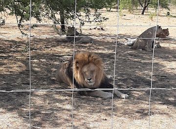 south-africa/north-west/attraction/chazen-nature-conservation-education-center