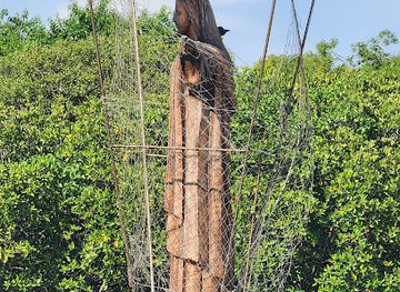 sri-lanka/gampaha-district/attraction/winson-island