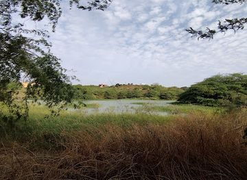 senegal/thies/attraction/reserve-naturelle-de-popenguine