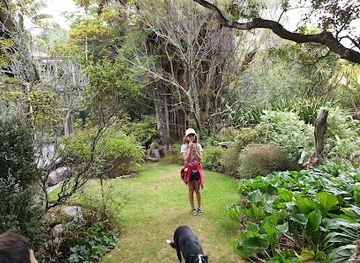 new-zealand/new-plymouth/attraction/te-kainga-marire