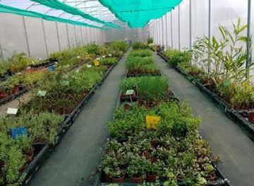 costa-rica/san-jose/attraction/el-arca-vivero