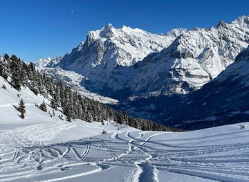 switzerland/grindelwald/attraction/tschuggen-bergstation