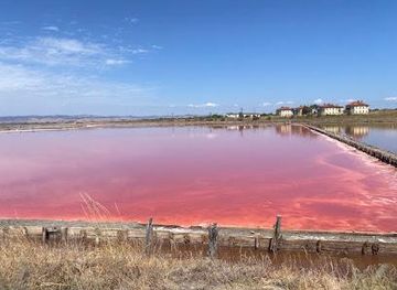 bulgaria/burgas/attraction/lake-atanasovsko