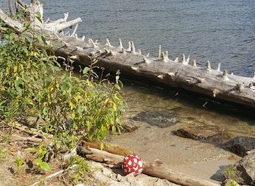 idaho/ponderosa-state-park/attraction/davis-beach