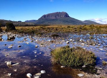 australia/cradle-mountain-lake-st-clair-national-park/attraction/frog-flats