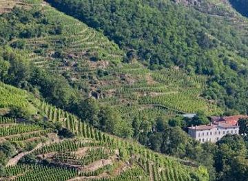 france/lyon/attraction/domaine-de-corps-de-loup