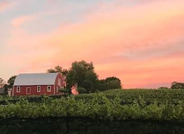 maryland/towson/attraction/serpent-ridge-vineyard