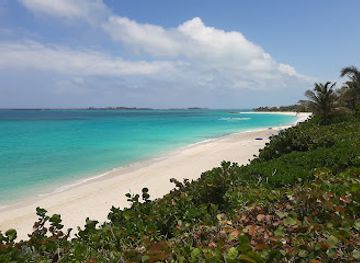 the-bahamas/harbour-island/attraction/cabbage-beach-north