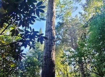 new-zealand/hawke-s-bay/attraction/trelinnoe-park