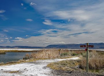 oregon/oregon-coast/attraction/summer-lake-wildlife-area